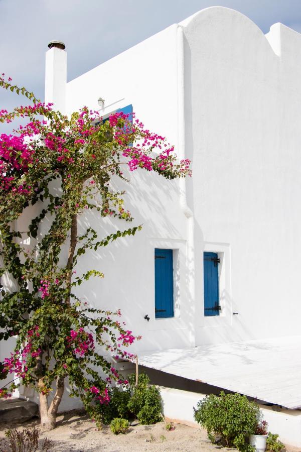 Arcana Santorini Villas, An Authentic Cycladic Experience